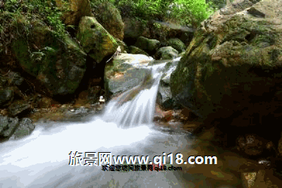 344、广东雁鸣湖国家森林公园